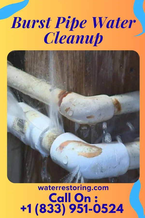 Burst Pipe Water Cleanup in North Hobbs, NM