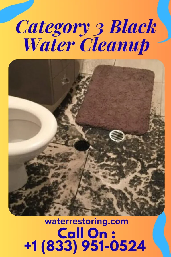 Category 3 Black Water Cleanup in North Hobbs, NM