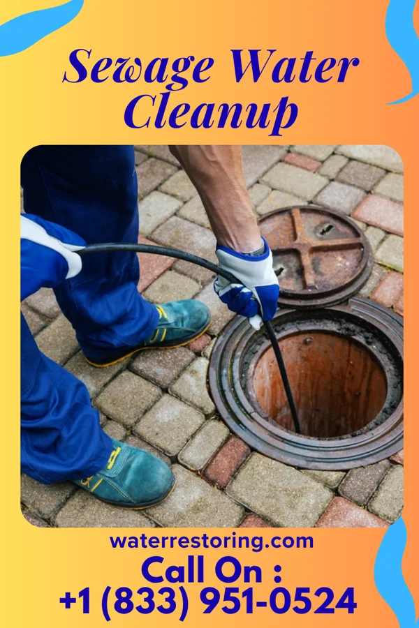 Sewage Water Cleanup in North Hobbs, NM