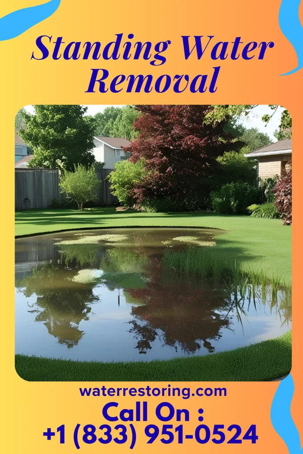 Standing Water Removal in North Hobbs, NM